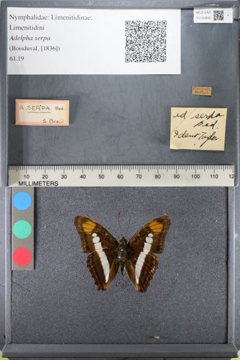 Media type: image;   Entomology 140890
